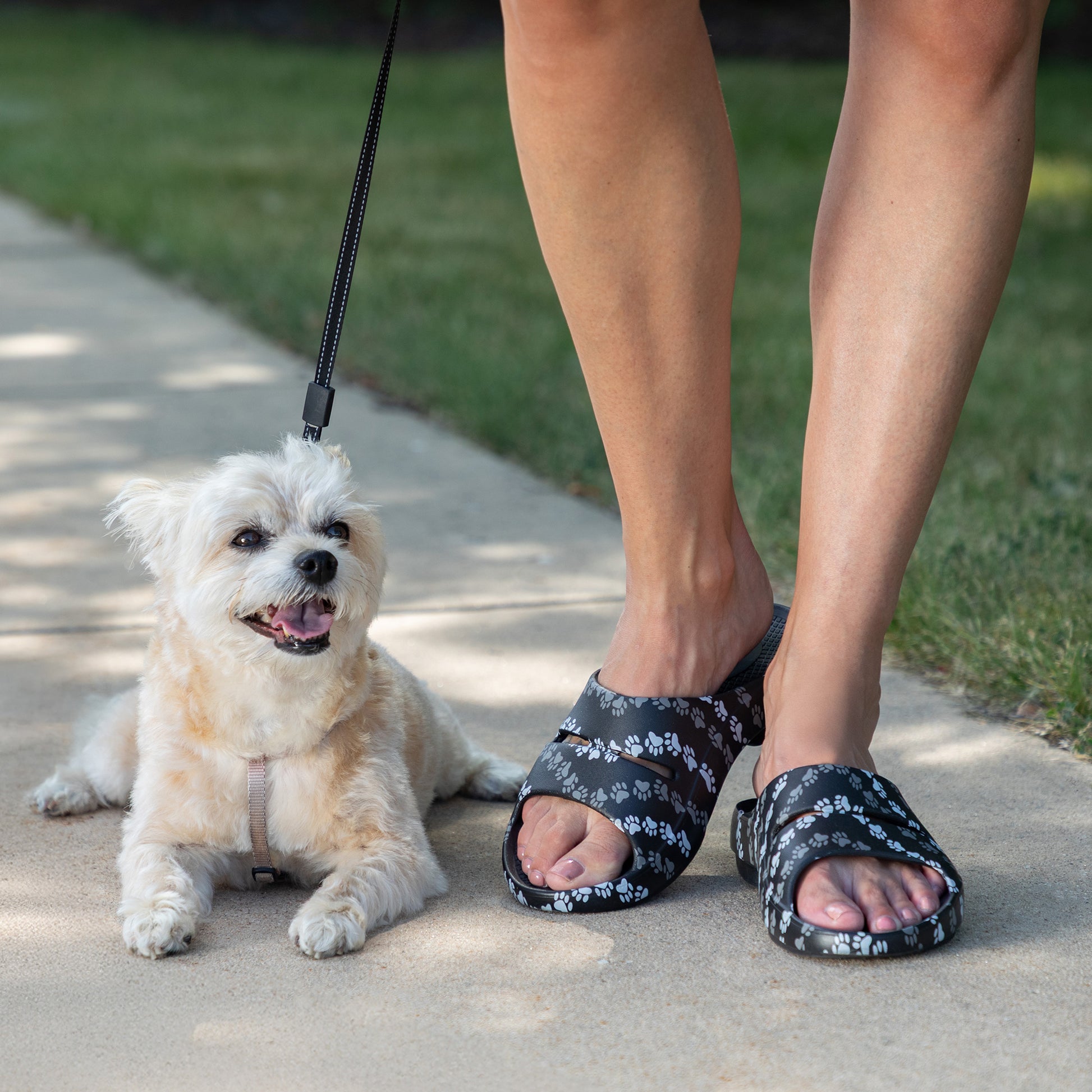 A small white dog lies on a concrete path while a person wearing black slide sandals with a white paw print pattern stands nearby. The person is cropped from the knees down, and grass is visible in the background.