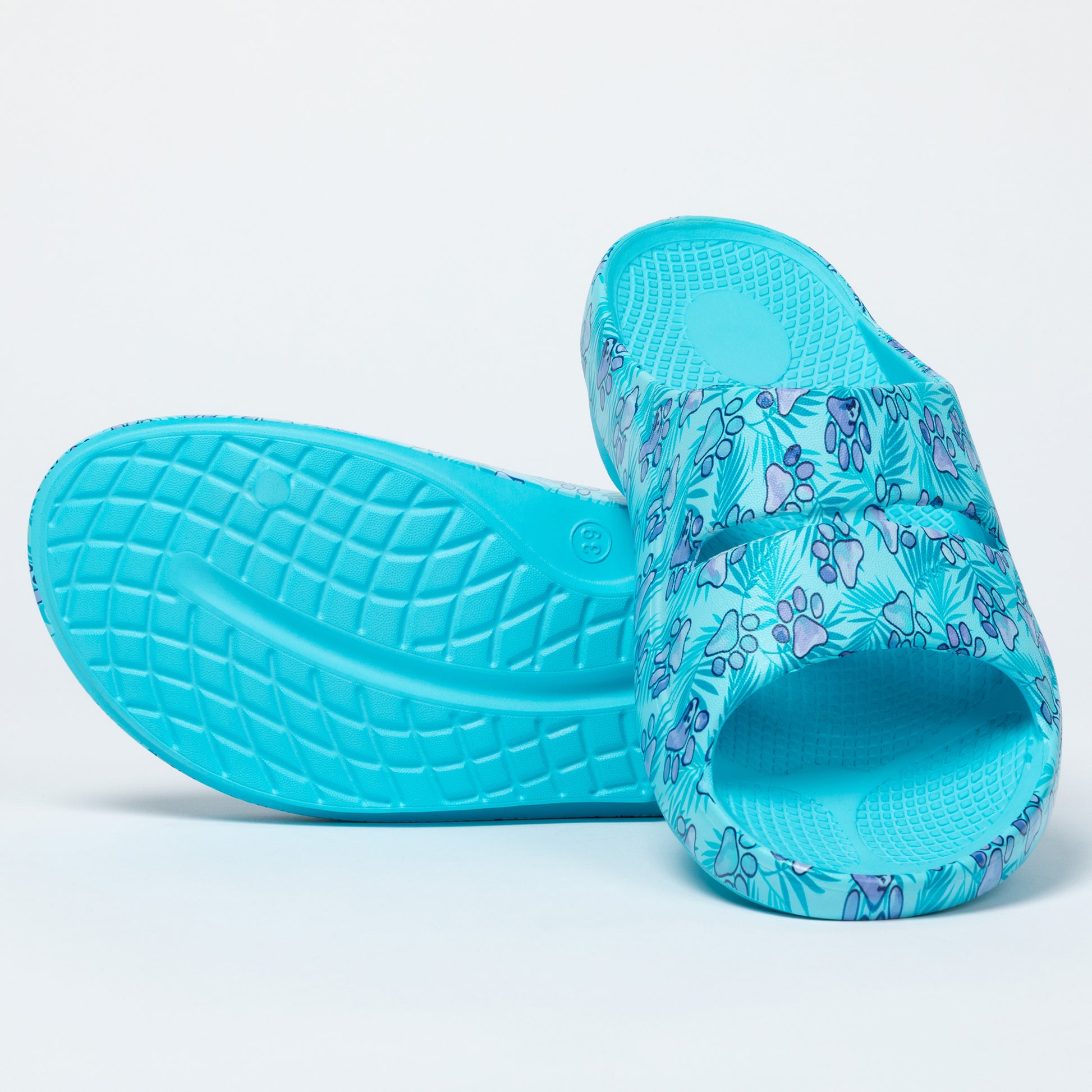 Turquoise slides with paw print pattern on a light gray background