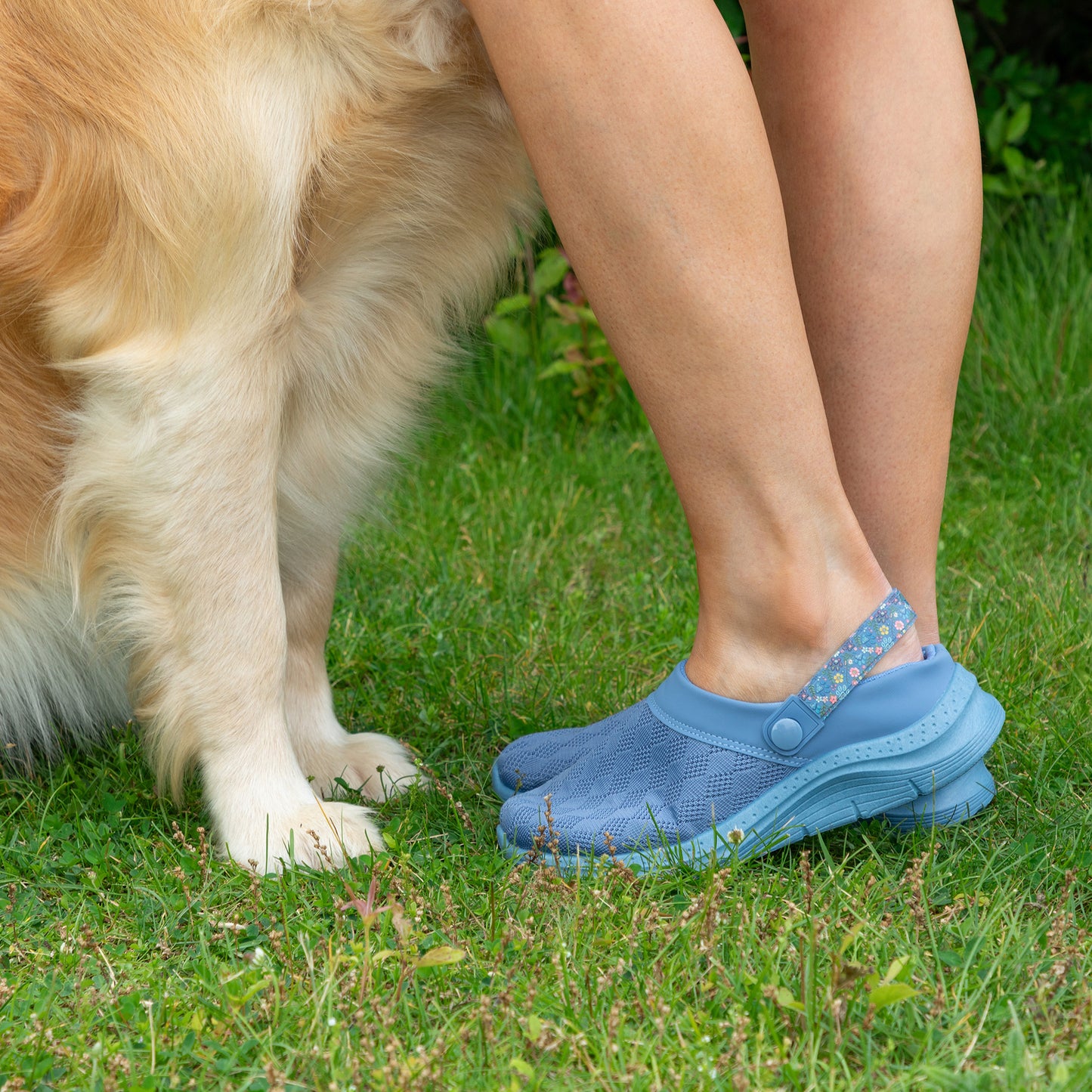 A person wearing light blue tab-style slip-on shoes standing on grass next to a golden retriever dog.