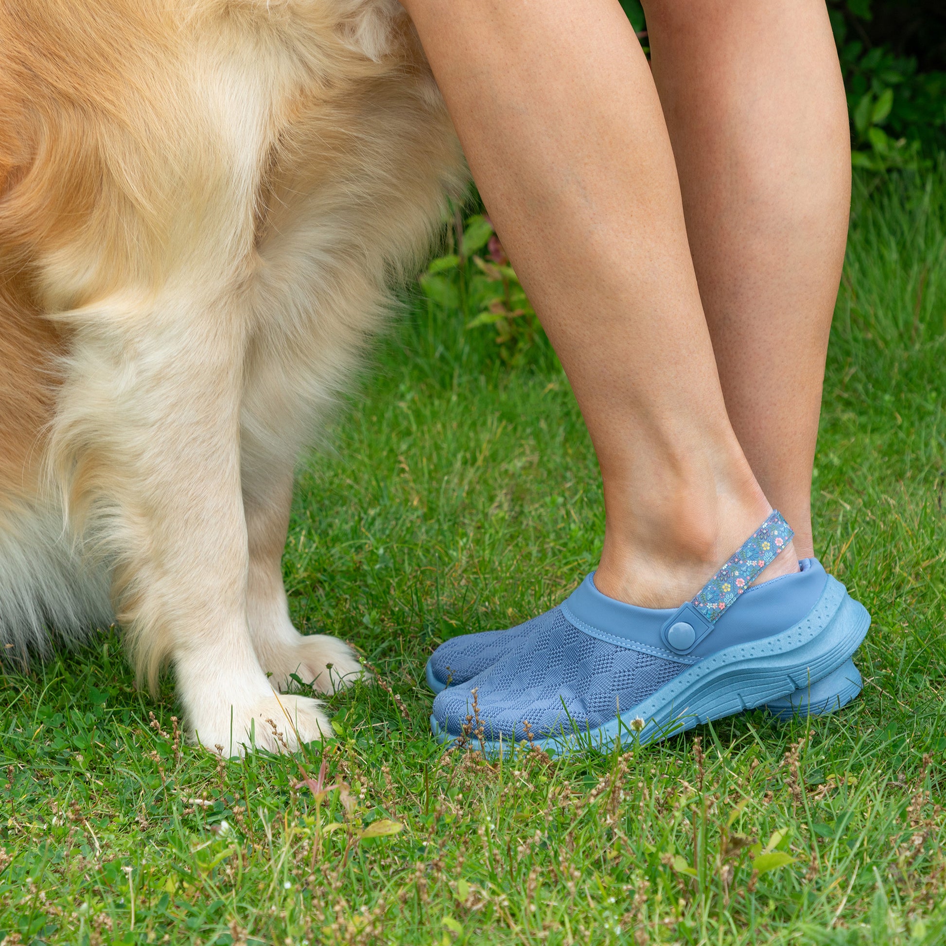 A person wearing light blue tab-style slip-on shoes standing on grass next to a golden retriever dog.