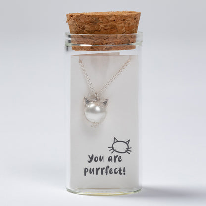 Cat-shaped necklace in a glass jar with a cork lid on a white background