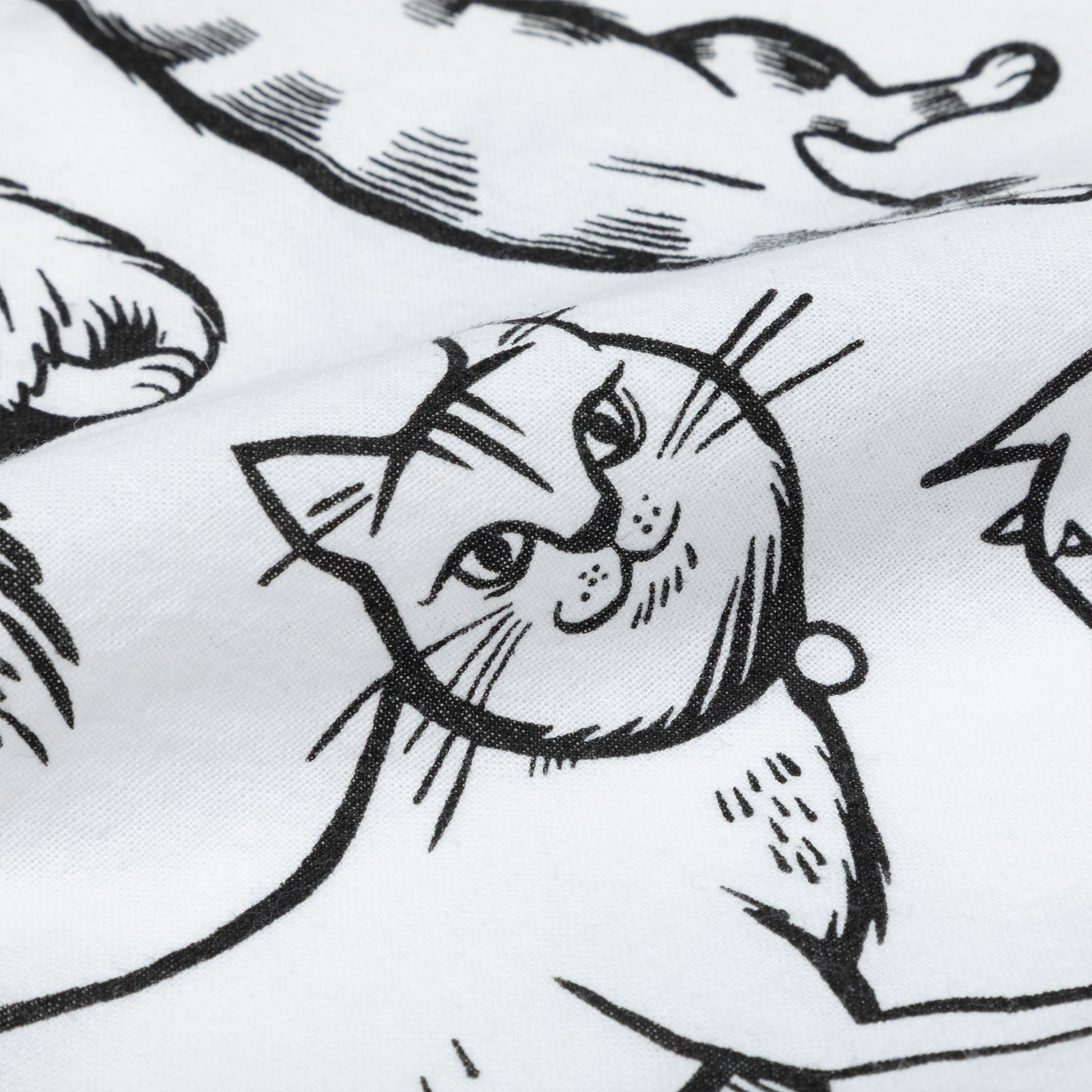 Black and white illustration of a cat on a white background