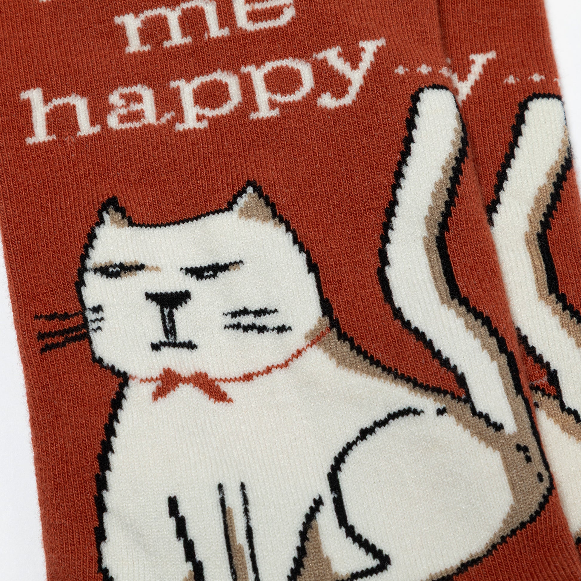 Cat-themed sock with text on a red background