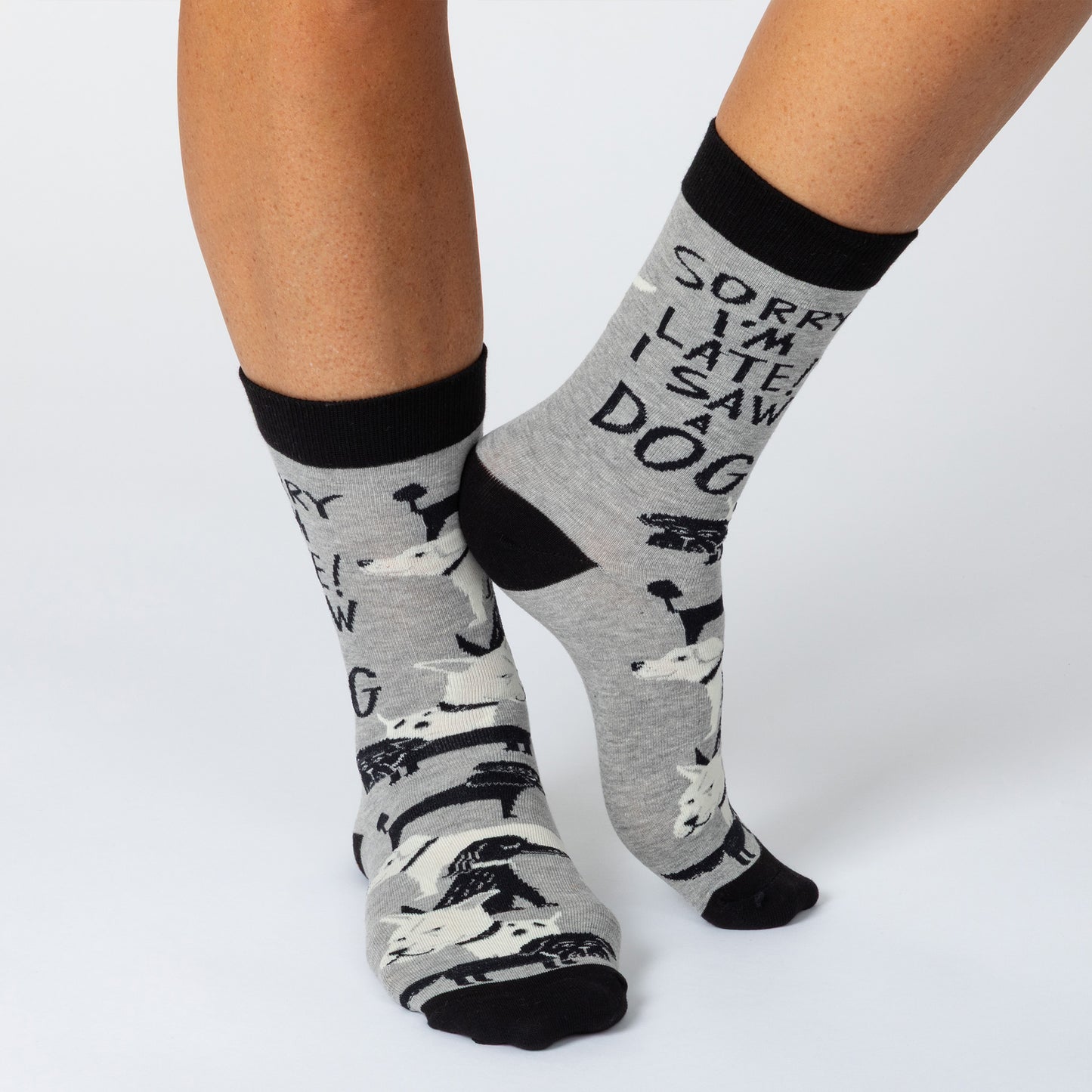 Feet wearing gray socks with dogs all over and the phrase "Sorry i'm late! I saw a dog"