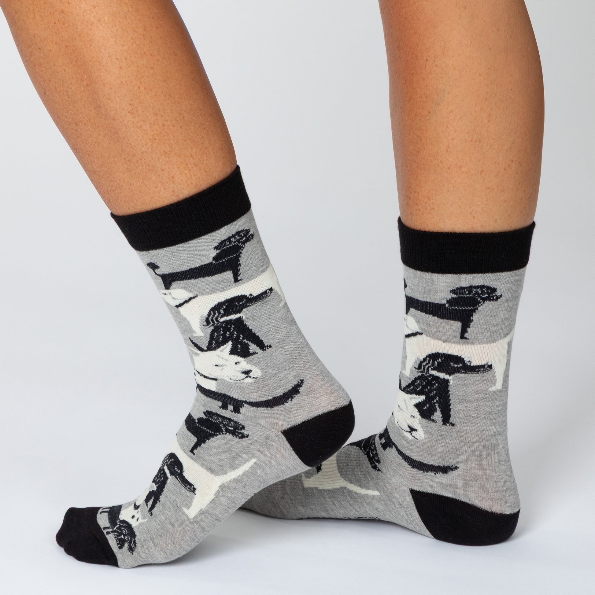 Feet wearing gray socks with dogs all over and the phrase "Sorry i'm late! I saw a dog"