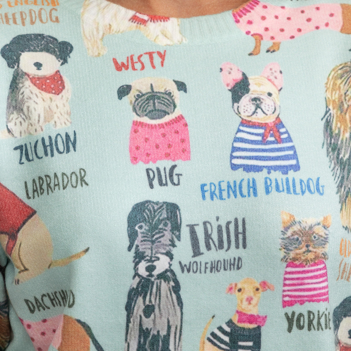 A close-up of a light blue knit sweater featuring a playful print of various dog breeds, each illustrated in a different outfit with its name written underneath in stylized text.