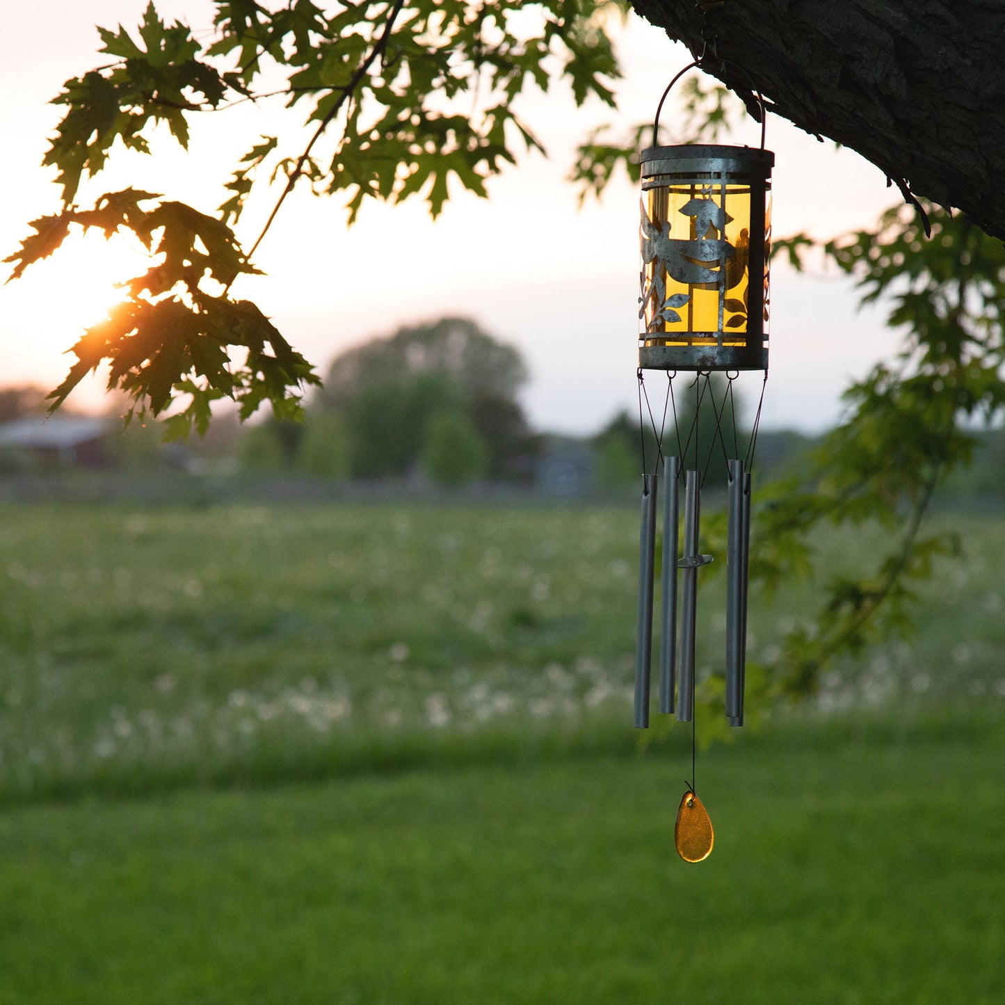 Solar Dragonfly Wind Chime