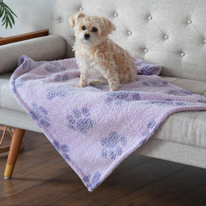 A small fluffy dog sits on a lavender plush throw blanket with a blue floral pattern draped over a light beige tufted sofa in a living room setting.