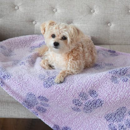 A small fluffy cream-colored dog lies on a soft lavender fleece blanket with purple paw prints, placed on a beige upholstered sofa.