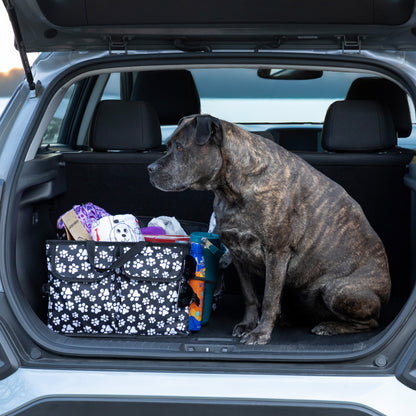 A collapsible car organizer patterned in paws in the trunk of a car, next to a large dog. 