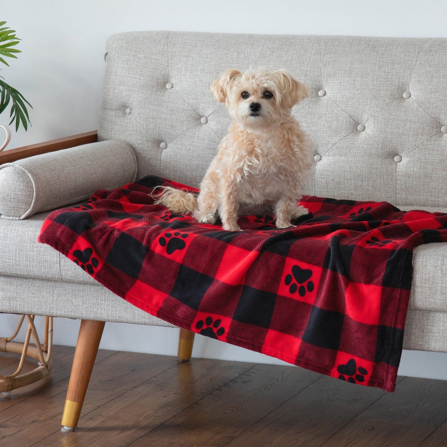 Super Cozy&trade; Pet Blanket