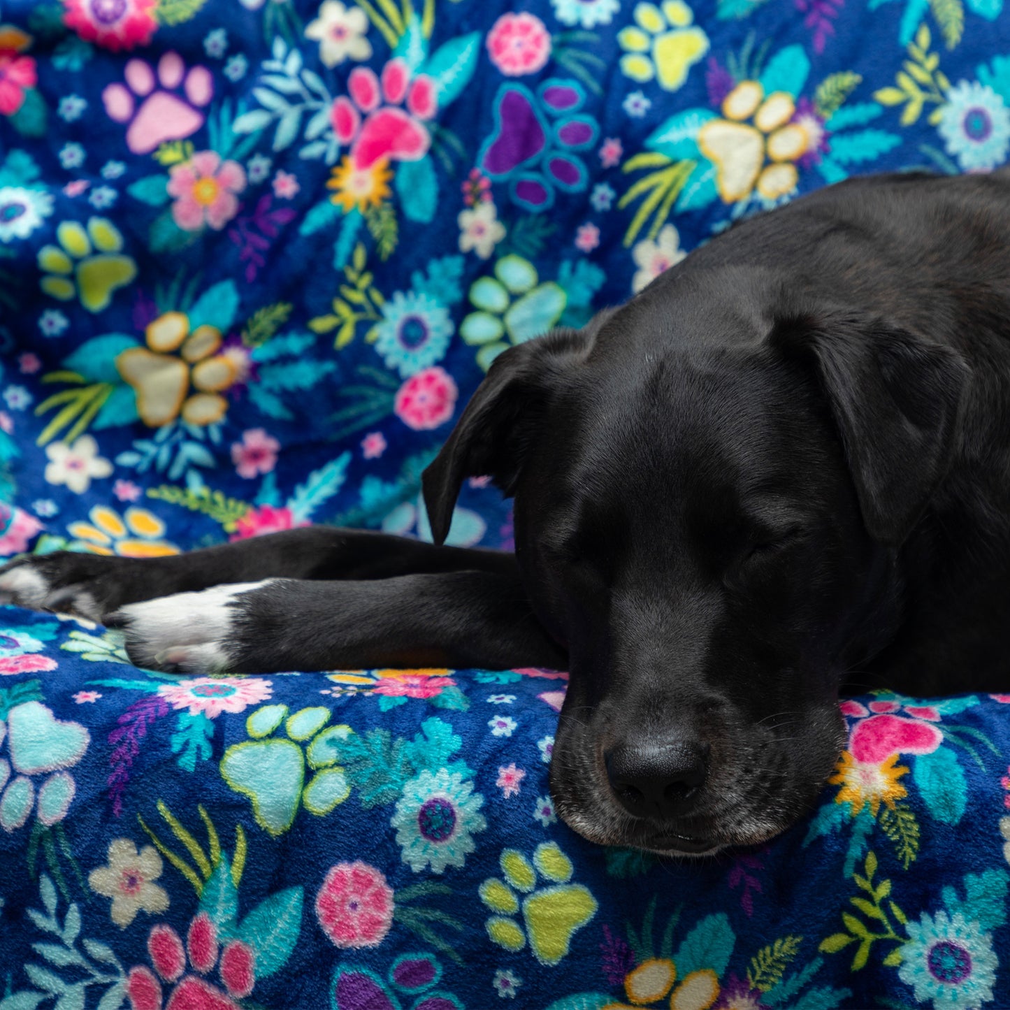 Super Cozy&trade; Pet Blanket