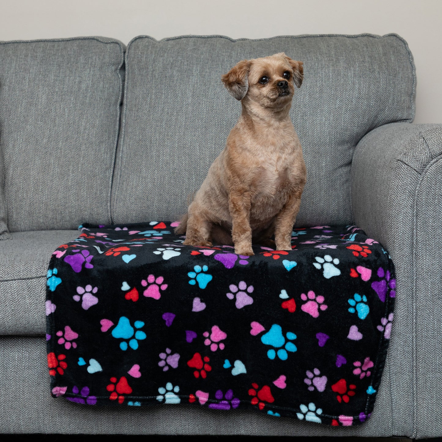 Super Cozy&trade; Pet Blanket