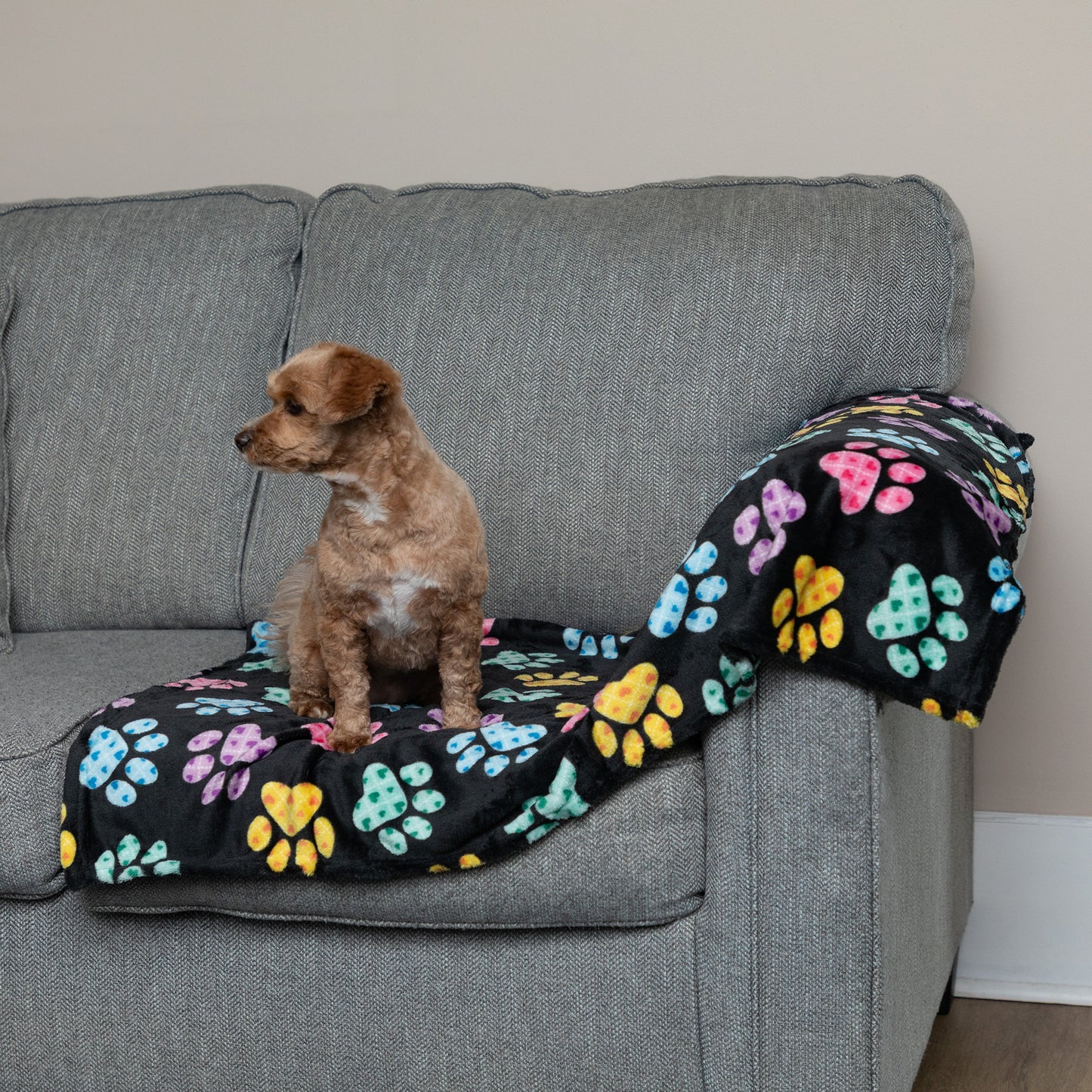 Super Cozy&trade; Pet Blanket