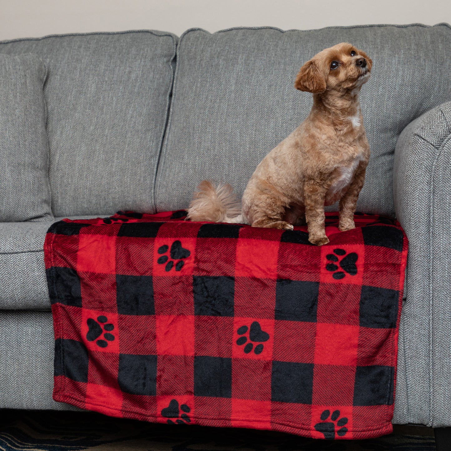 Super Cozy&trade; Pet Blanket