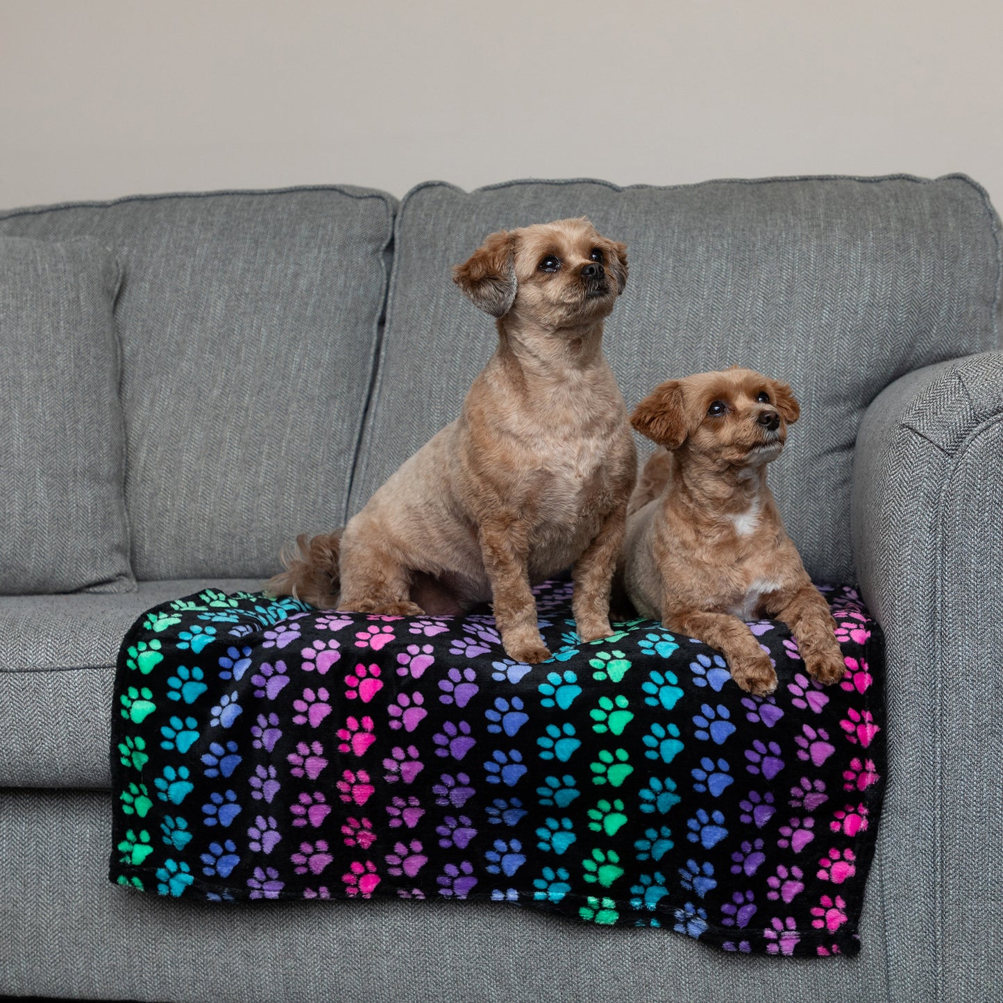 Super Cozy&trade; Pet Blanket
