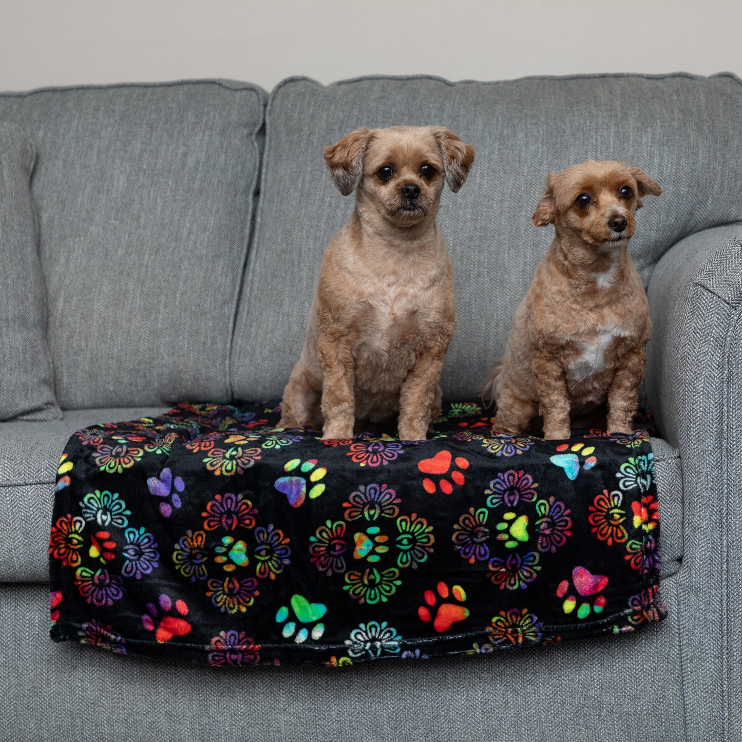 Super Cozy&trade; Pet Blanket