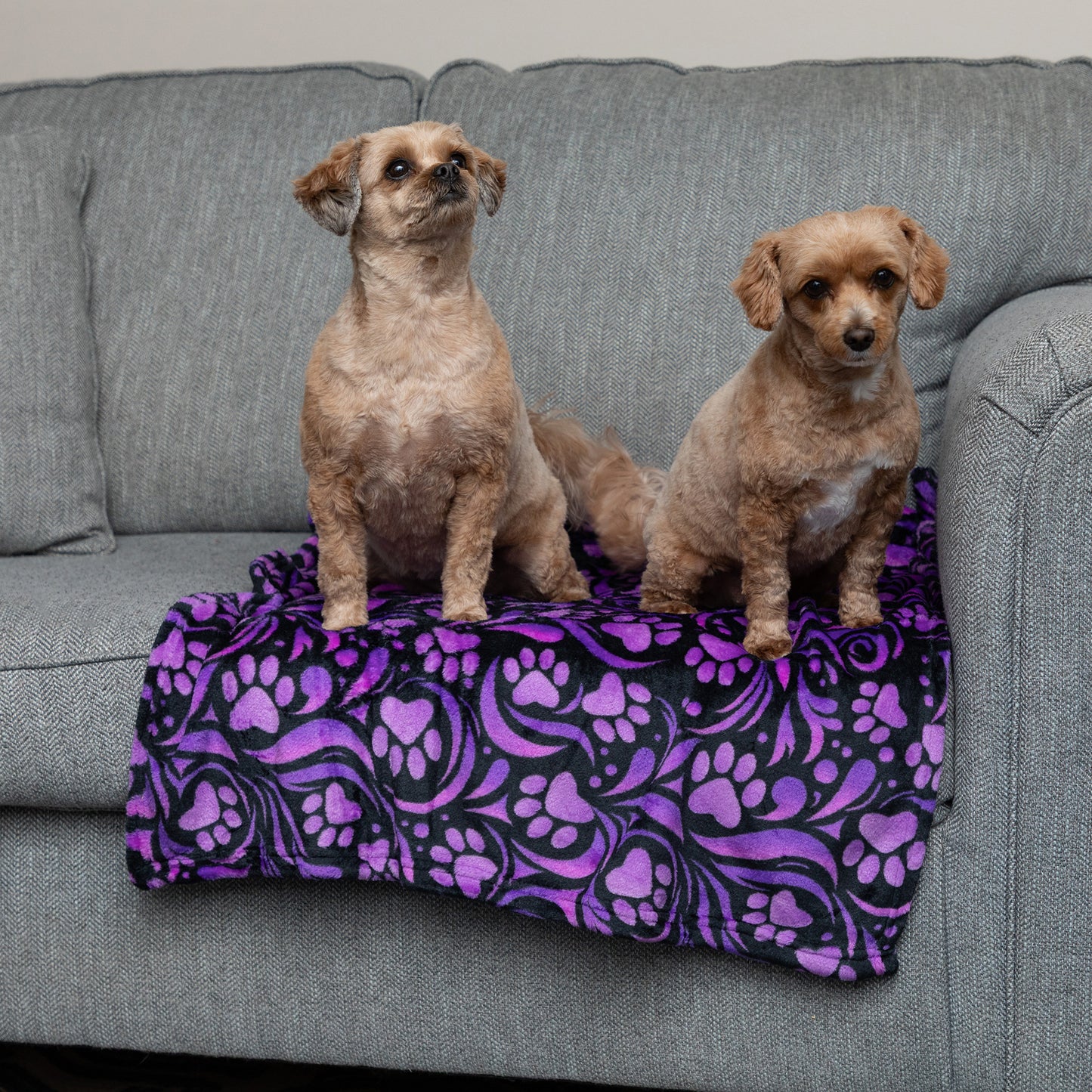 Super Cozy&trade; Pet Blanket