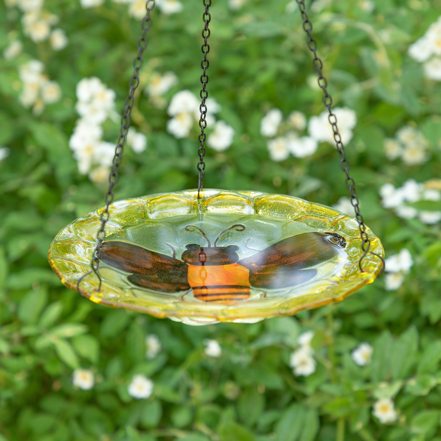 Honeybee Hanging Bird Feeder