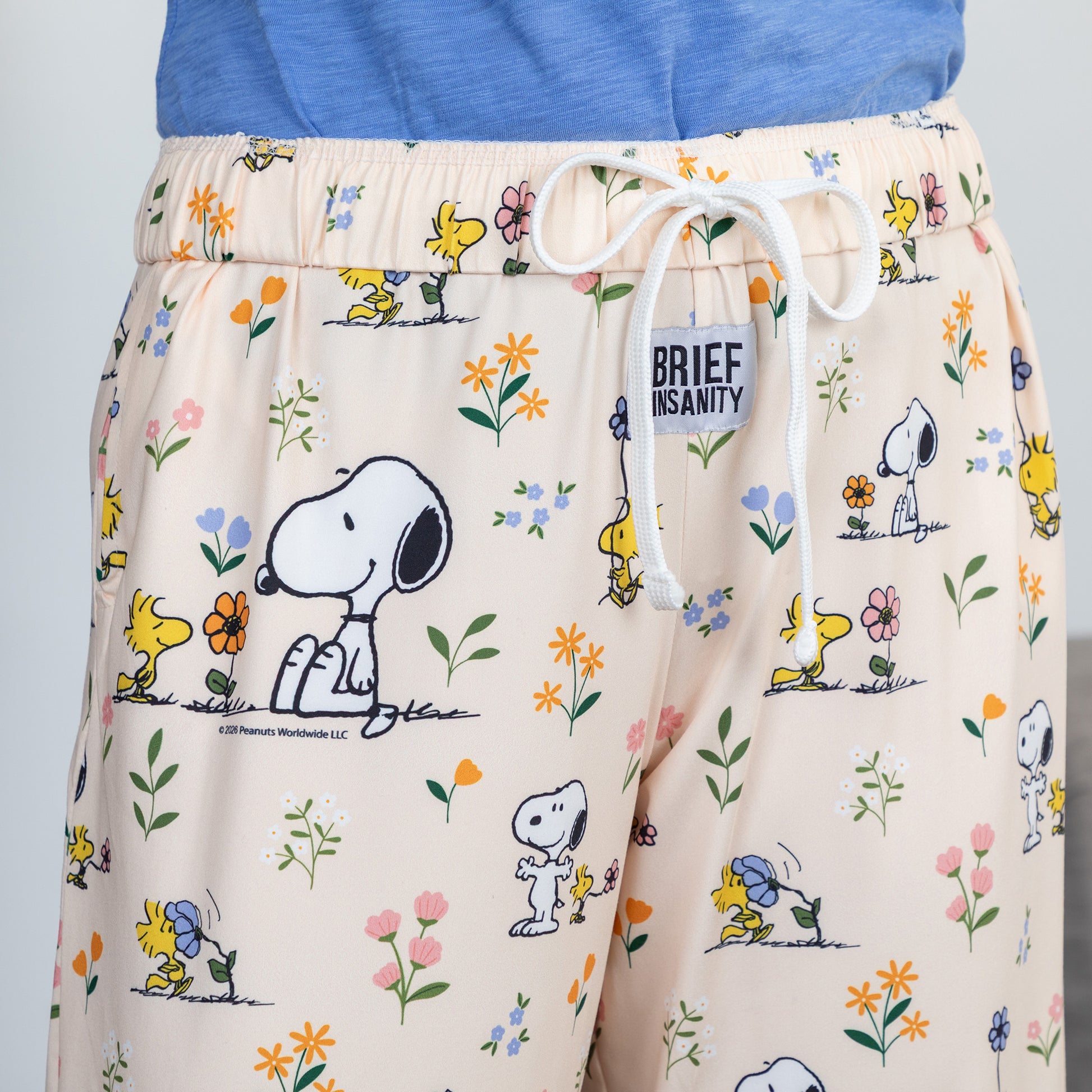 Pants with Snoopy and Woodstock print and 'Brief Insanity' label.