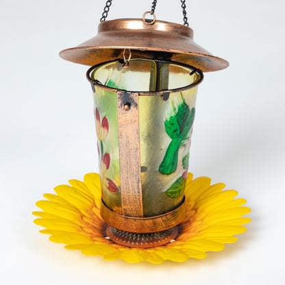 Hummingbird Solar Hanging Bird Feeder