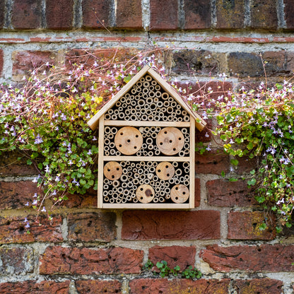 Plant Flowers to Save Bees & Other Natural Wildlife