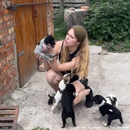 Woman holding a puppy with other puppies around her in an outdoor setting.