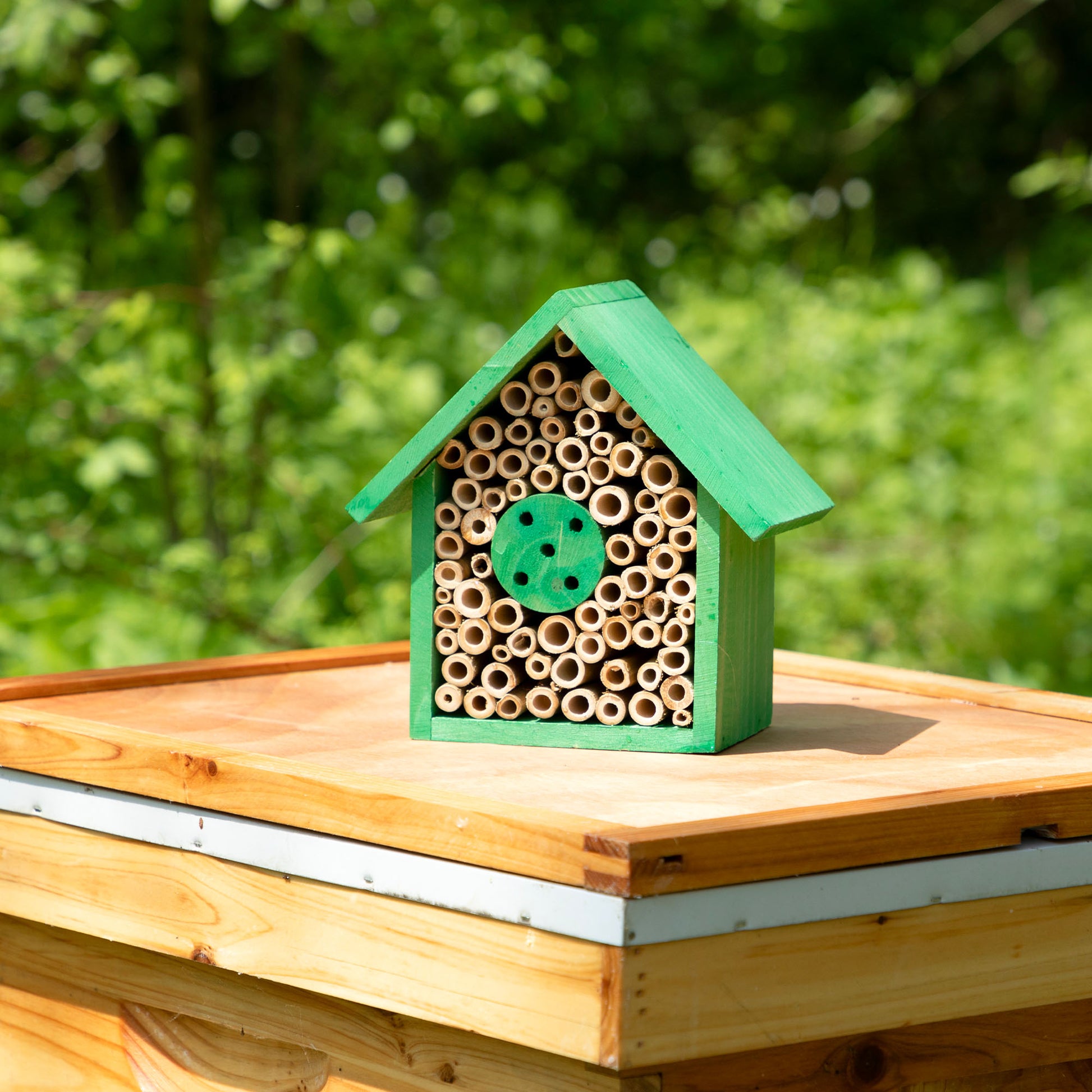 bee house planter Wooden Bee House | 8 inch