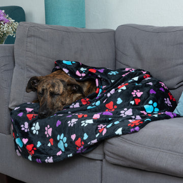 12 Designs Super Cozy™ Pet Blanket