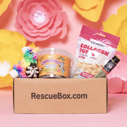 RescueBox&reg; - Spoil Your Pet, Help Animals In Need