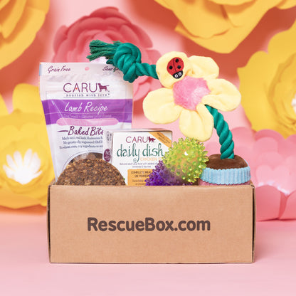 RescueBox&reg; - Spoil Your Pet, Help Animals In Need