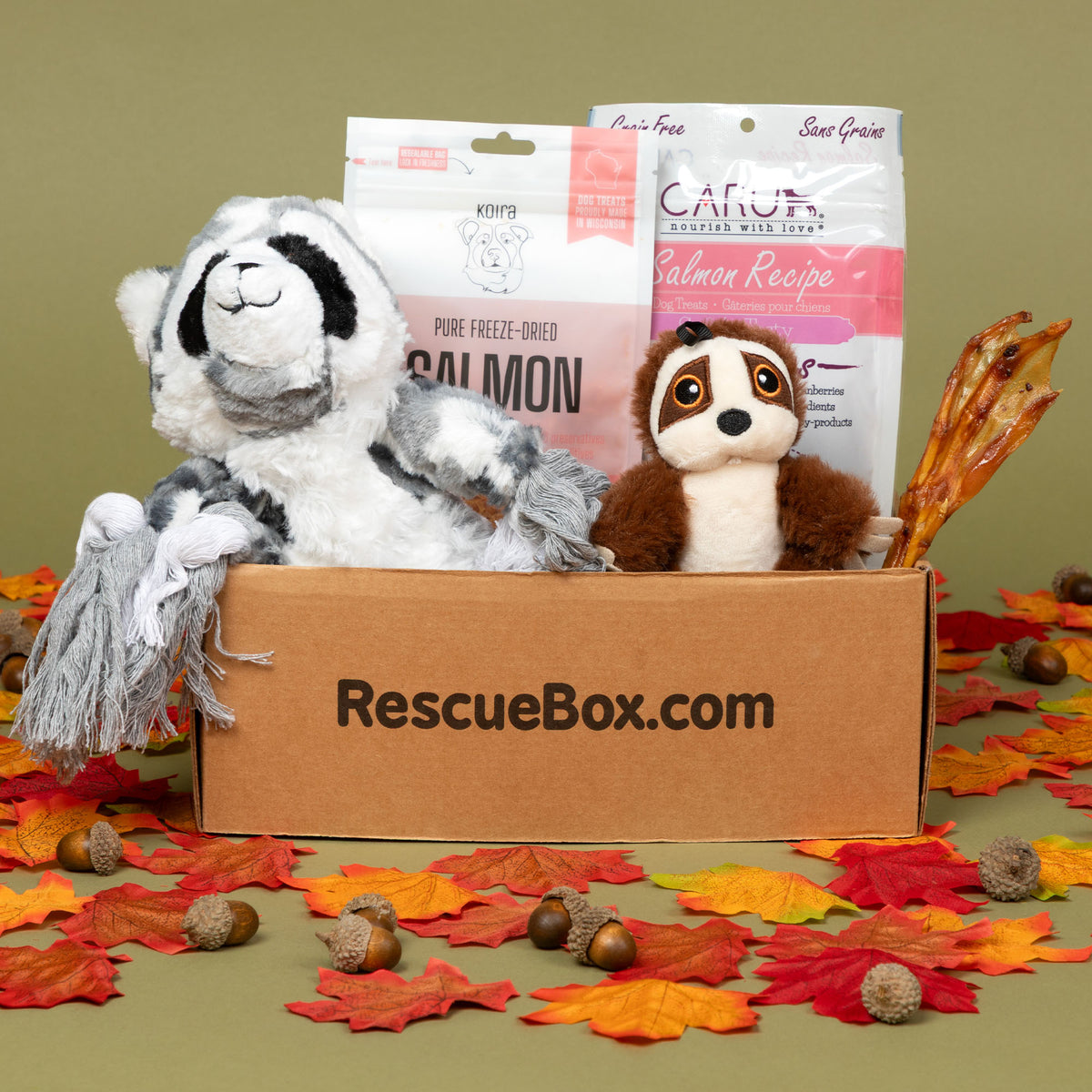 RescueBox&reg; - Spoil Your Pet, Help Animals In Need
