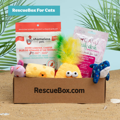 RescueBox&reg; - Spoil Your Pet, Help Animals In Need