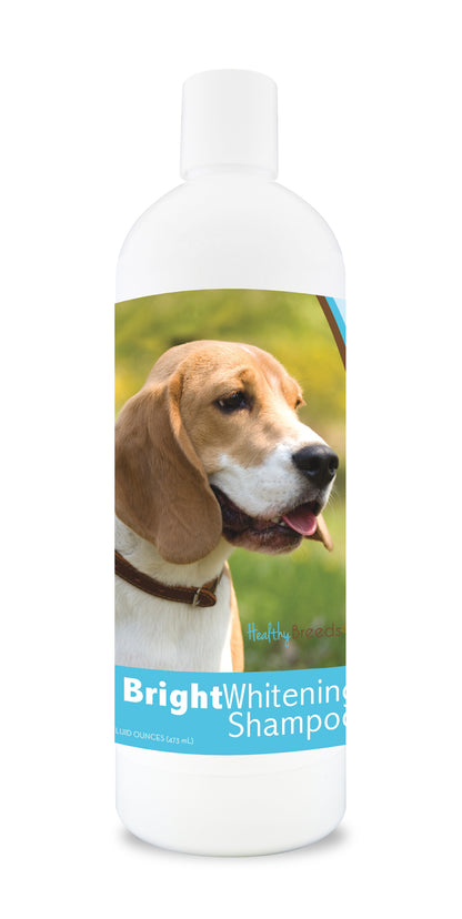 Bottle of bright whitening shampoo featuring a beagle dog's face on the label.