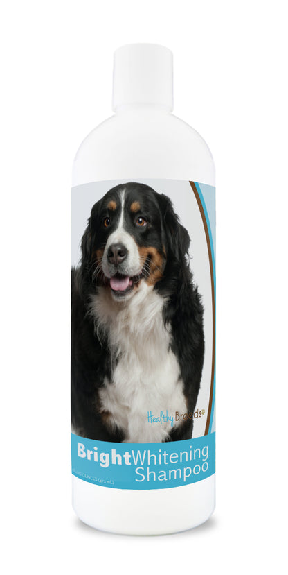 Bottle of bright whitening shampoo featuring a smiling bernese mountain dog's face on the label.
