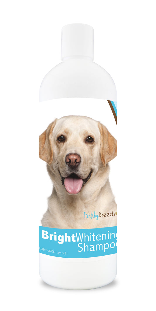 Bottle of bright whitening shampoo featuring a smiling dog's face on the label.