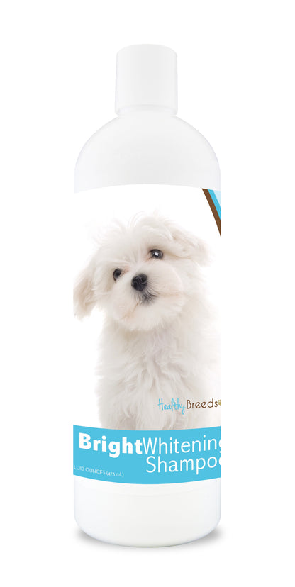 Bottle of bright whitening shampoo featuring a maltese dog's face on the label.