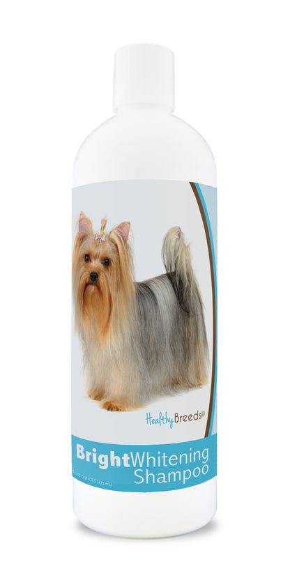 Bottle of bright whitening shampoo featuring a yorkie's face on the label.