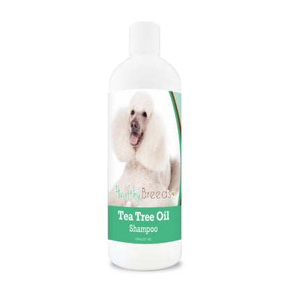 Healthy Breeds Tea Tree Oil Shampoo - 8 oz