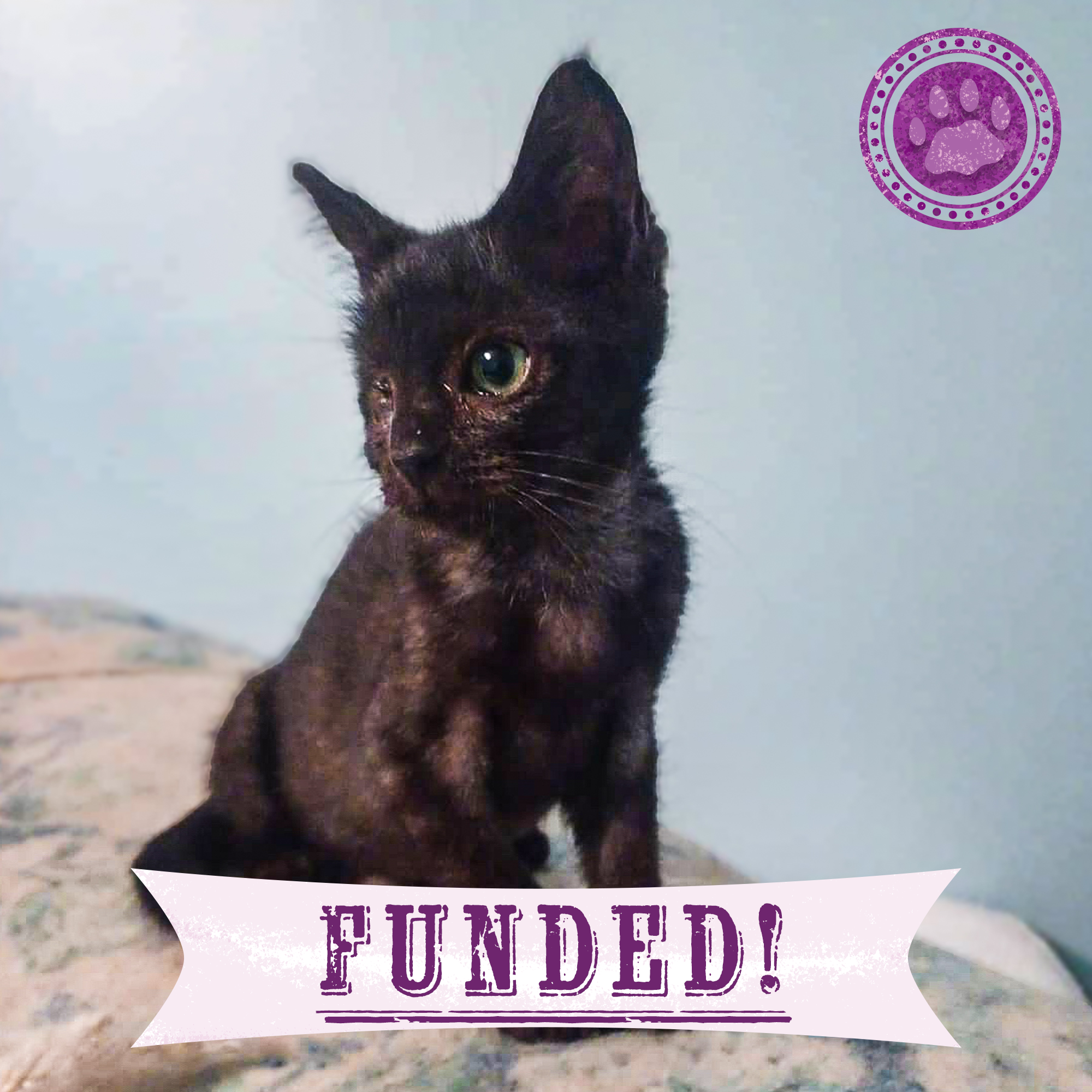 Funded: Aemond Cannot See Due to Severe Eye Infections and Needs Your ...