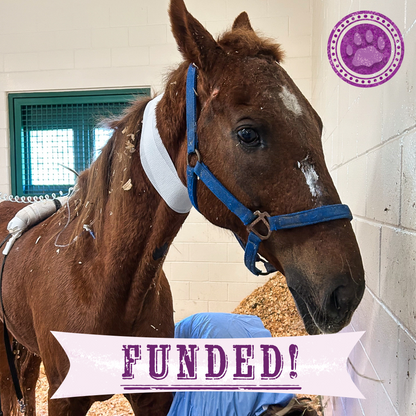 Funded: Convict Unable to Walk or Stand Without Excruciating Pain Needs Your Help