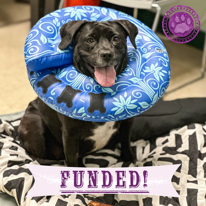 Funded: Ebony Suffers from Untreated Leg Injury and Needs Surgery to Heal