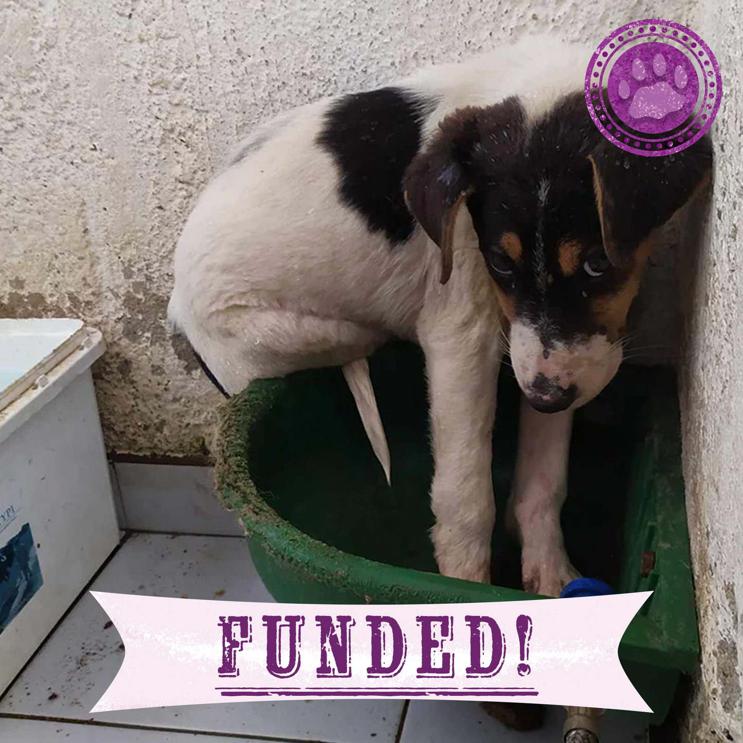 Funded: Maya Is Giving Up Hope And Needs Your Help