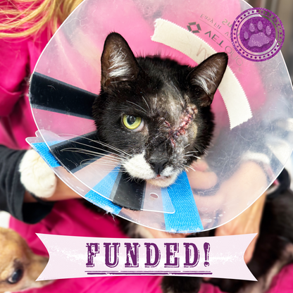 Funded: Neo with Painful Protruding Eye Needs Emergency Surgery