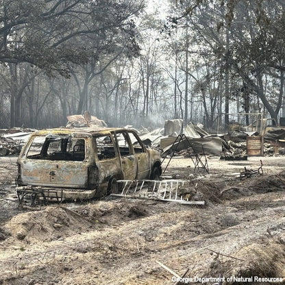 Disaster in the South: Help People and Pet Victims of Wildfires