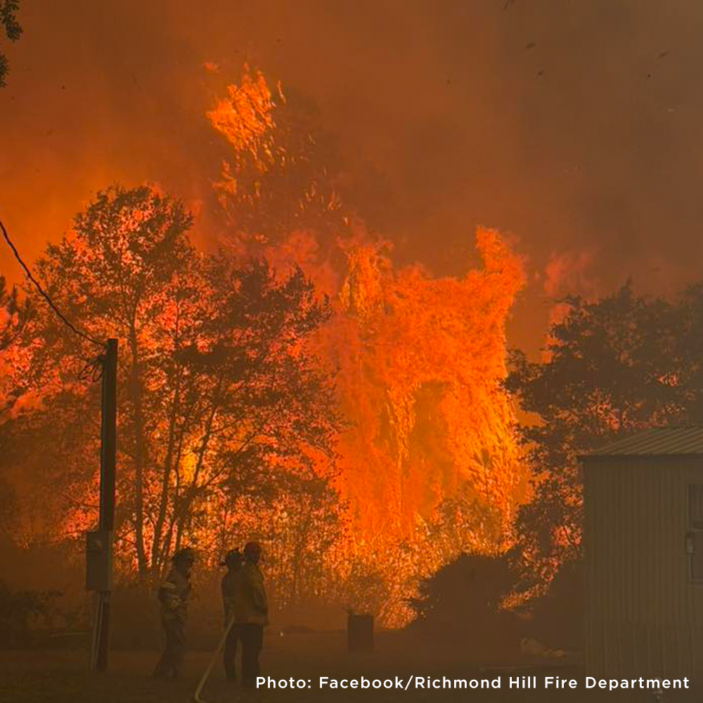 Disaster in the South: Help People and Pet Victims of Wildfires