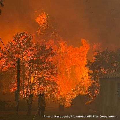 Disaster in the South: Help People and Pet Victims of Wildfires
