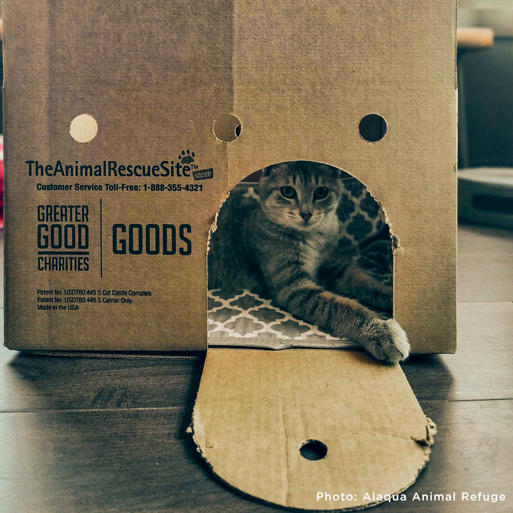 Support Feline Domination - One Castle at a Time