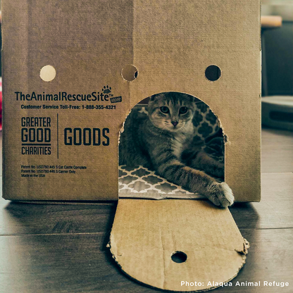 Support Feline Domination - One Castle at a Time