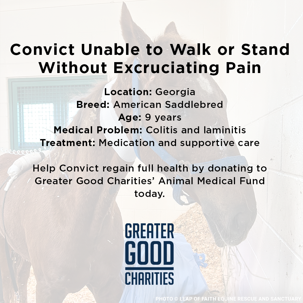 Convict Unable to Walk or Stand Without Excruciating Pain Needs Your Help
